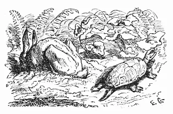 tortoise and the hare aesop fable
