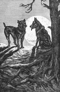 Wolf and Mastiff