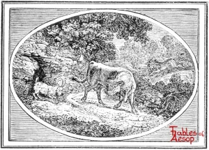 Bewick - 0205 - Bull and Goat