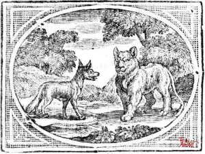 Croxall - Lioness and Fox