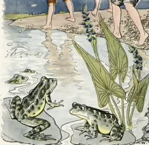 Boys and Frogs