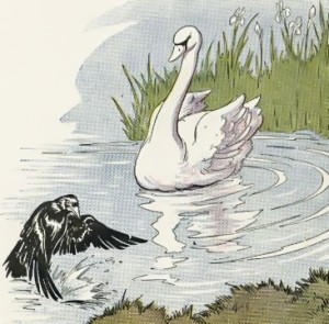 Raven and Swan