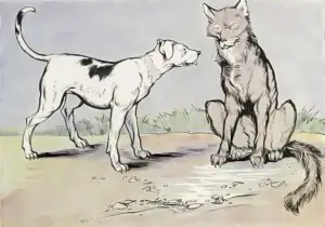 Wolf and House Dog
