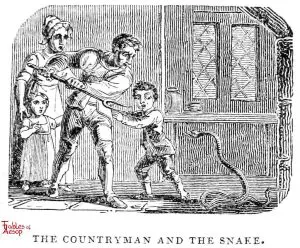 Whittingham - Countryman and Snake