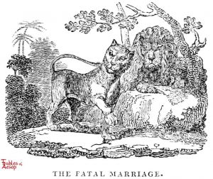Whittingham - Fatal Marriage