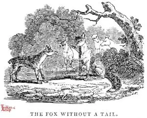 Whittingham - Fox Without a Tail
