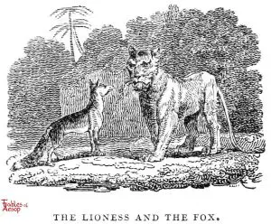 Whittingham- Lioness and Fox