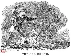 Whittingham - Old Hound