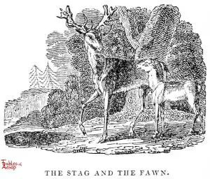 Whittingham - Stag and Fawn