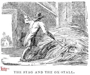 Whittingham - Stag in Ox Stall