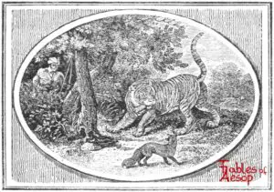 Bewick - 0149 - Fox and Tiger