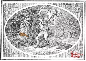 Bewick - 0333 - Trees and Woodman