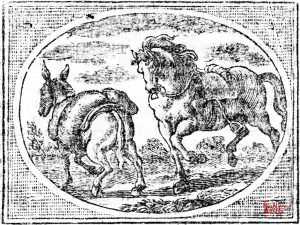 Croxall - Horse and Ass