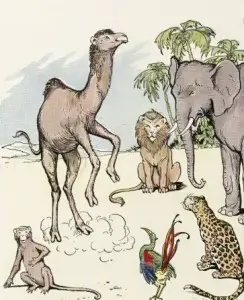 Monky and Camel