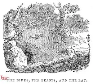 Whittingham - Birds, Beasts and Bat