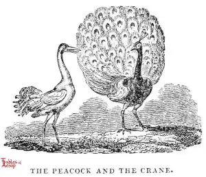 Whittingham - Peacock and Crane