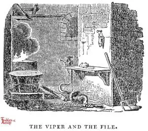 Whittingham - Viper and File