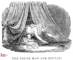 Whittingham - Young Man and Cat