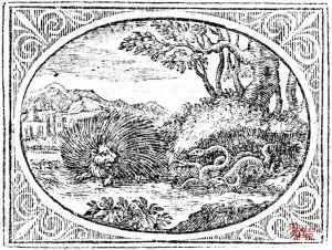 Croxall - Porcupine and Snakes
