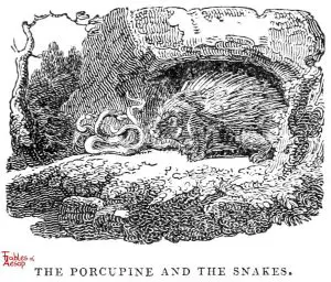 Whittingham - Porcupine and Snake