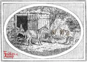 Bewick-0109-Wolves-and-Sick-Ass