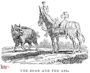 Whittingham - Boar and Ass