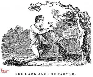 Whittingham - Hawk and Farmer