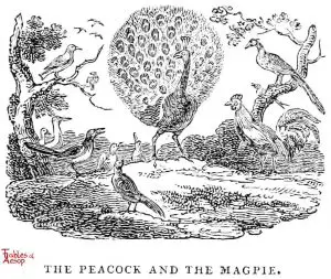 Whittingham - Peacock and Magpie