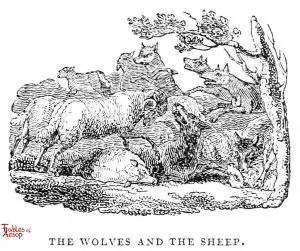 Whittingham - Wolves and Sheep