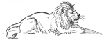 Lion and Beasts C1