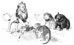 Lion and Beasts C2