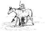 Horse Stag C4