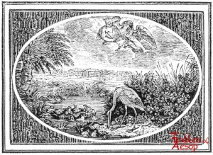 Bewick - 0169 - Frogs and Their King