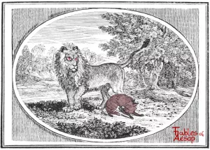 Bewick - 0319 - Fox and Lion