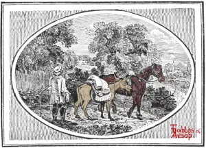 Bewick - 0377 - Horse and Loaded Ass