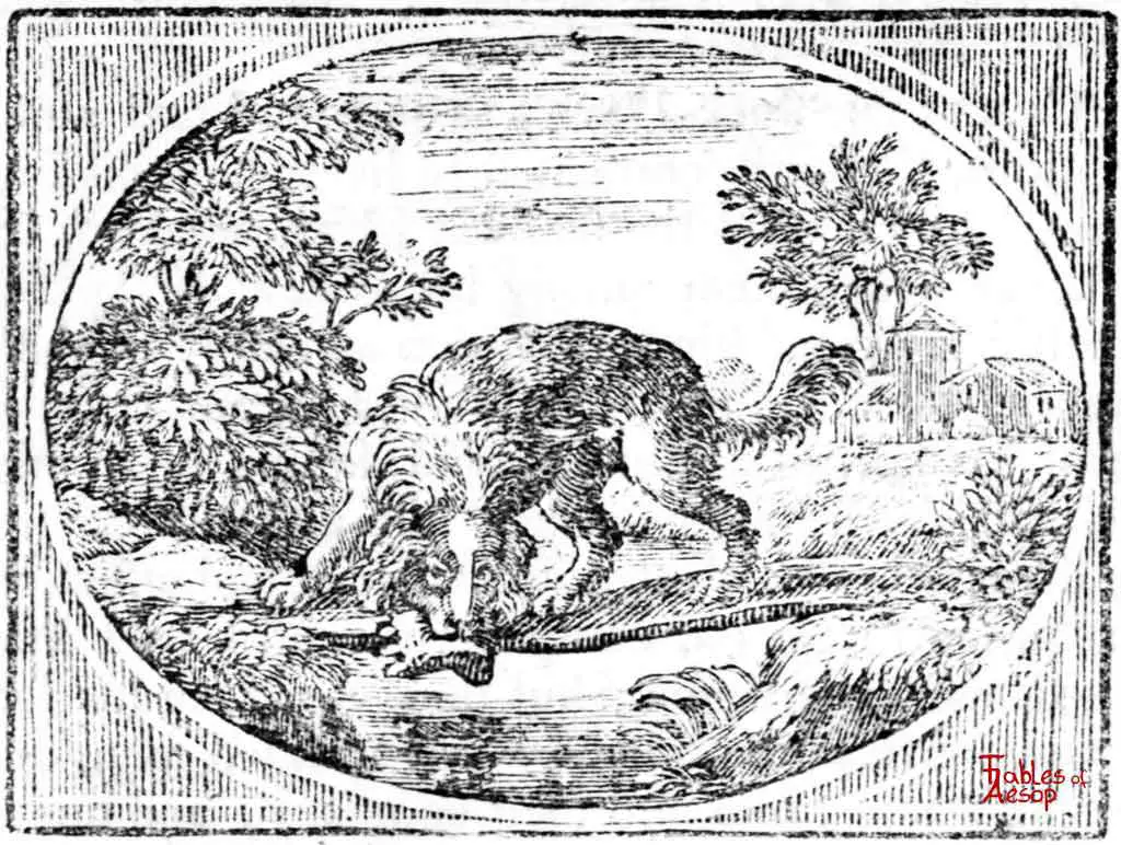 The Dog And His Reflection - Aesop's Fables - EggEggB
