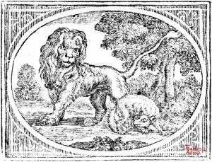 Croxall - Fox and Lion