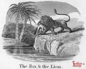 Taylor - Fox and Lion 0013