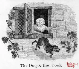Taylor - Dog and Cook 0035