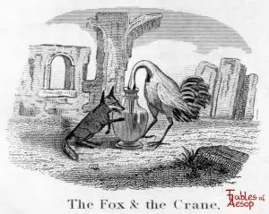 Taylor - Fox and Crane 0071