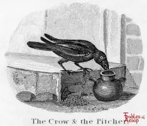 Taylor - Crow and Pitcher 0095