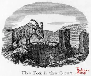 Taylor - Fox and Goat 0117