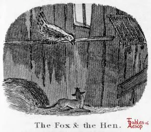 Taylor - Fox and Hen 0121