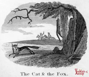 Taylor - Cat and Fox 0147