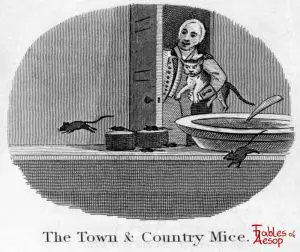 Taylor - Town and Country Mice 0147