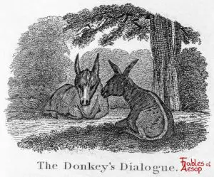 Taylor - Donkey Dialogue 0167