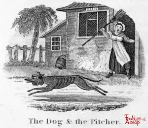 Taylor - Dog and Pitcher 0195