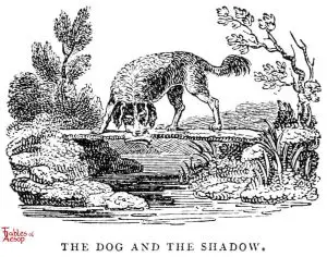 Whittingham - Dog and Shadow