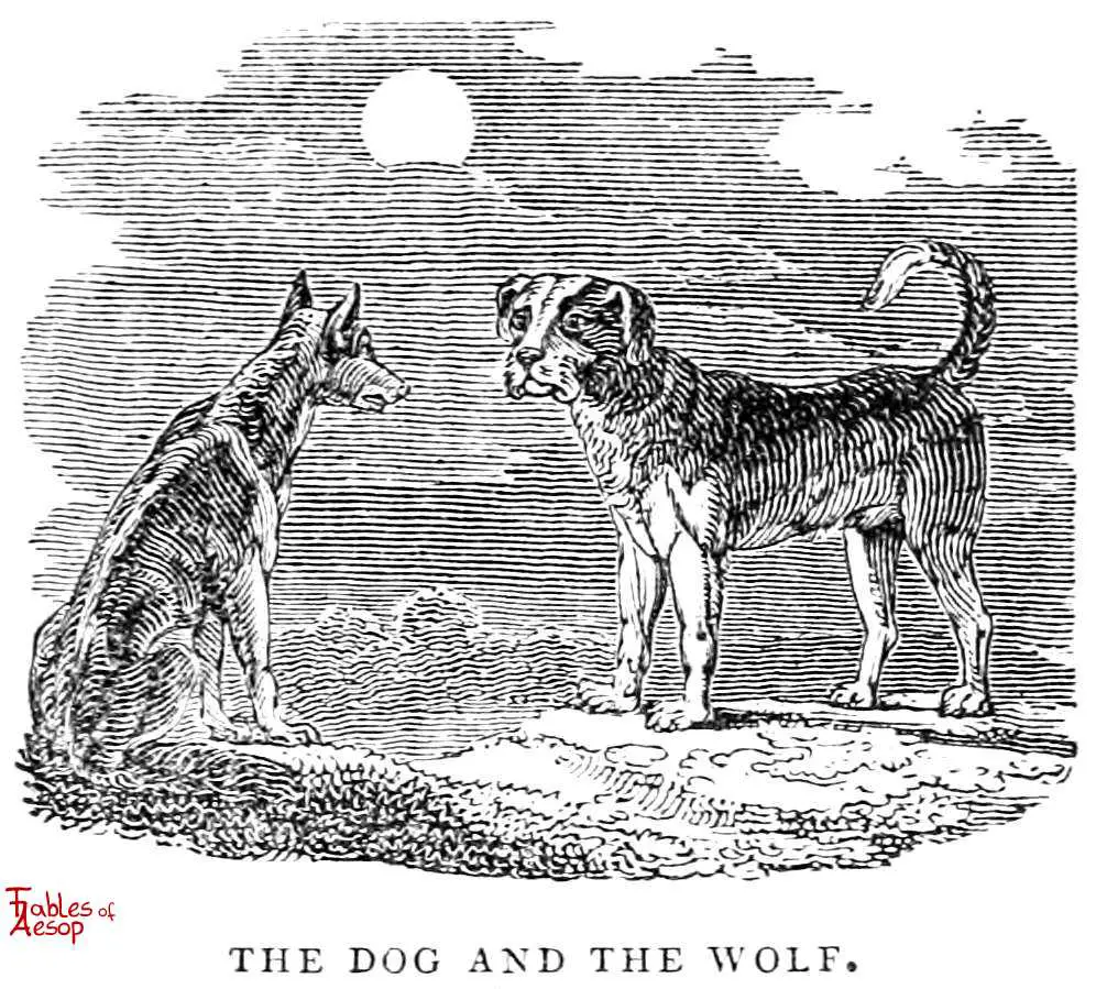 https://cdn-0.fablesofaesop.com/wp-content/uploads/2016/07/whittingham_dog_and_wolf.jpg