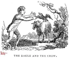 Whittingham - Eagle and Crow